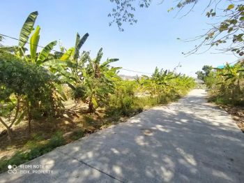 Dijual Tanah Perumahan Meteseh Tembalang Semarang