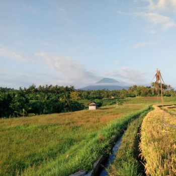 Tanah view gunung Dan sawah di Selemadeg