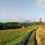 thumbnail-tanah-view-gunung-dan-sawah-di-selemadeg-0