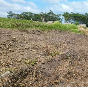 Dijual tanah di Ubud view Los tebing/jungle dan sawah