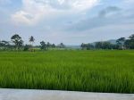 thumbnail-tanah-sawah-produktif-cigadung-kng-shm-9