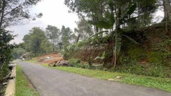 Dijual Murah Tanah Kebun Pinggir Jalan 851 M2 di Bojong Purwakarta