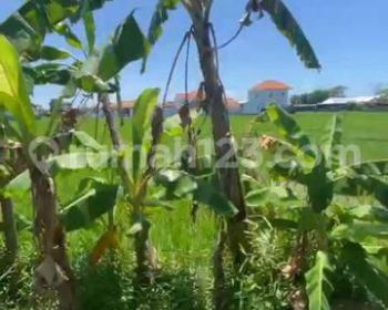 TANAH PINGGIR JALAN LINGKUNGAN VILLA CEMAGI VIEW SAWAH