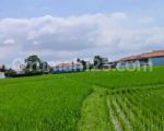 thumbnail-tanah-pinggir-jalan-lingkungan-villa-cemagi-view-sawah-7