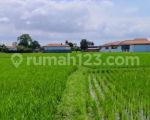 thumbnail-tanah-pinggir-jalan-lingkungan-villa-cemagi-view-sawah-8