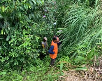 Tanah Pekebunan Jeruk Semanik Pelaga