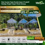 thumbnail-dijual-tanah-500-m2-shm-pinggir-jalan-gratis-greendhouse-kebun-anggur-12