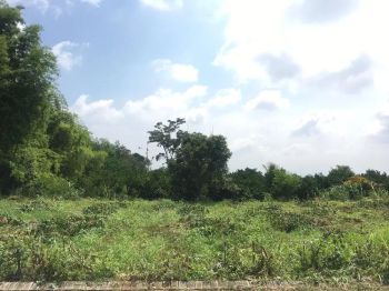 Jual Tanah Green Alaya Malang