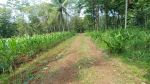 thumbnail-tanah-4000m2-ld-45-m-dekat-ganesha-sedayu-jumantono-karanganyar-2