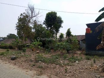 Barat Hyatt Hotel, 300 Meter Jl. Magelang Jogja, Tanah Shmp