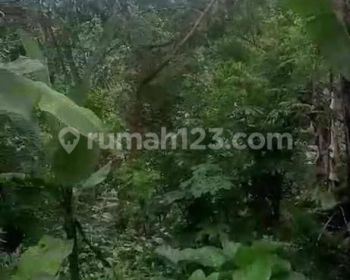 Hot List Termurah Di Kelasnya Di Jual Tanah Kebun Kopi Lokasi Buana Sari
