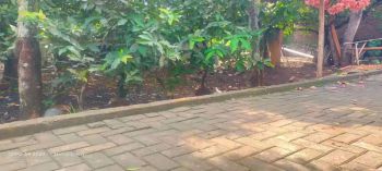 Tanah Pekarangan Lokasi Strategis Ampelgading Kalisegoro Gunungpati