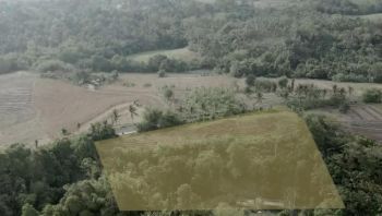 Tanah loss sungai dan Pantai di Klecung Tabanan