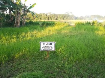 Jual Tanah Butuh Dana Cepat Bisa Nego