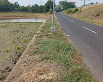 Tanah cocok untuk kavling perumahan atau gudang di dekat tol madiun