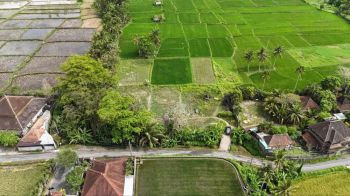 Dijual Tanah Murah View Sawah Di Kemenuh Ubud Bali.