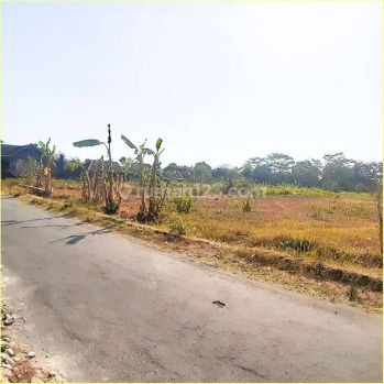 Tanah Jogja, 3 Juta An M2, Hanya 7 Menit Ke Sleman City Hall Yogyakarta