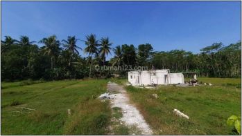 80 Jt Nego, 5 Menit Sma Sentolo, Tanah Shm Jogja Wates