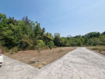 Dekat Polres Kulon Progo, Tanah SHM Siap Bangun