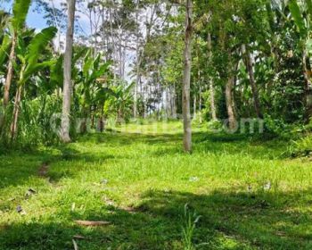 Dijual tanah Di Tegallalang view pedasaan