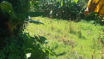 Dijual Tanah Ubud Bali hanya 3 Menit Dari Puri Ubud