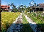 thumbnail-dijual-tanah-ubud-bali-hanya-3-menit-dari-puri-ubud-2