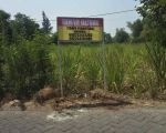 thumbnail-sell-tanah-dijual-lahan-tebu-1