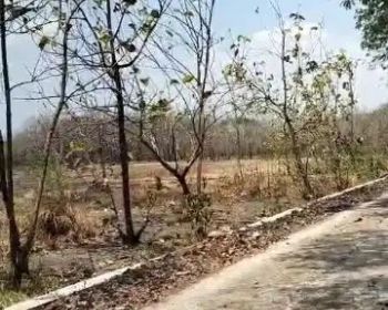 Dijual tanah 1,5ha zona industri di pedan klaten