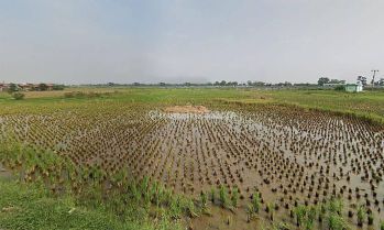 Jual Tanah Dekat Station Kereta Cepat Tegalluar Gedebage Bandung