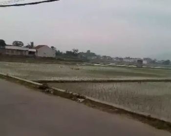 Tanah sawah dijual murah pinggir jalan Ranca oray Cikoneng Bojongsoang