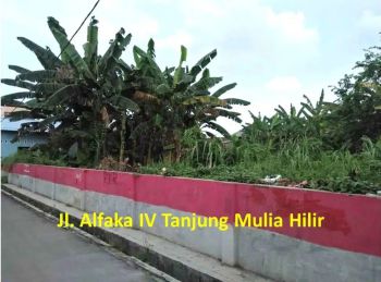 Tanah Murah di Tanjung Mulia Hilir