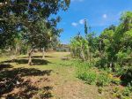 thumbnail-leasehold-land-123-hectares-in-ungasan-5