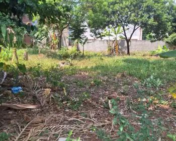 Dijual tanah di Pd. Cabe cocok untuk cluster