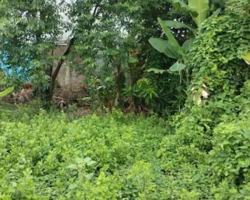 Dijual tanpa perantara, lokasi dekat dengan kota sidoarjo