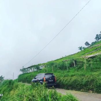 Tanah siap bangun Tawangmangu Karanganyar 1984 mtr/1.7 M
