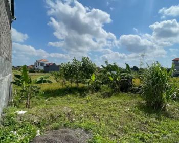 Jual tanah view sawah di kawasan jln cekomaria penatih Denpasar Timur