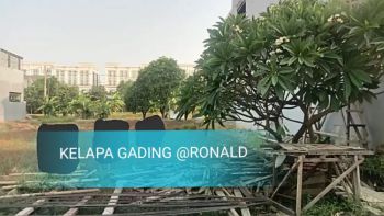 HOT KAVLING! DIJUAL KAVLING KELAPA GADING 8X15 HARGA 1,5 MILYAR NEGO