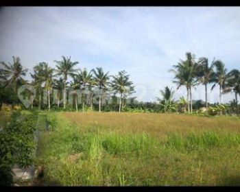 TANAH DI CENTRAL UBUD TERMURAH COCOK VILLA/ HOTEL