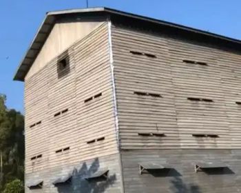 RUMAH SARANG BURUNG WALET