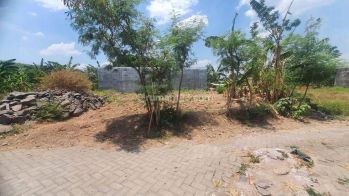 Tanah Mulawarman Tembalang Lt 259 m² 10 Menit Kampus Undip
