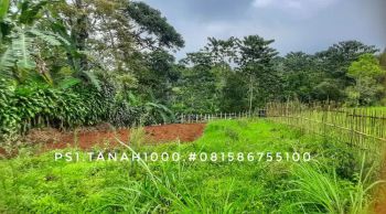 Dijual sebidang tanah matang pinggir jalan suasana tenang subur