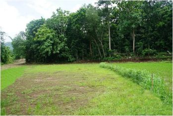 Dekat Puncak Sosok, Tanah Jogja di Bantul Termurah SHMP