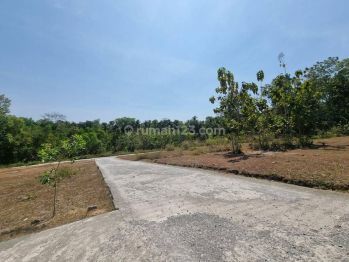 Dekat B R I Kulon Progo, SHM Pekarangan Siap Balik Nama