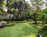 thumbnail-modern-house-with-large-garden-and-pool-in-kebayoran-baru-10