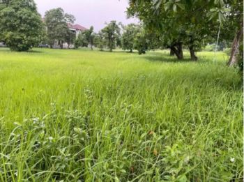 Tanah Murah Luas 2.4 ha di Jl. Kebagusan, Jakarta Selatan