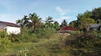 Di jual tanah jika berminat hubungin nomor di bawah