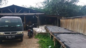 Dijual cepat BU pabrik tapioka Sentul Bogor
