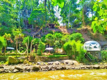 Dijual Tanah Los Sungai di Ubud View Sungai