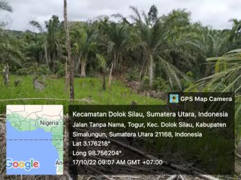 DIJUAL lahan sawit 13.5 HA murah