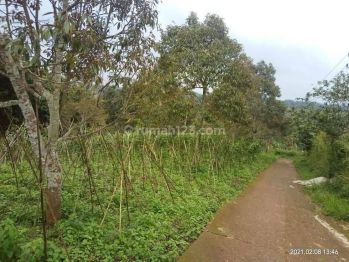 Di jual tanah kebunduren kutawarngin cianjur